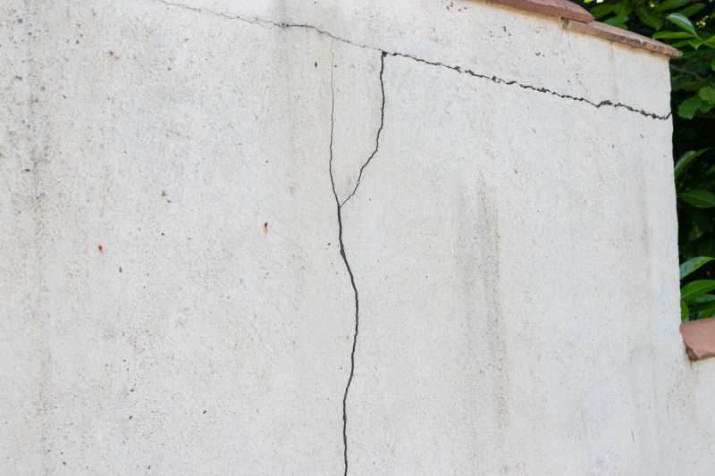 Foundation Crack Inspection